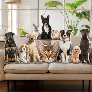 stuffed pet pillows on a sofa