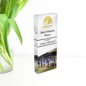 most valuable player plaque