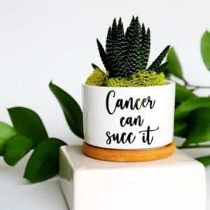 a planter with a succulent planted in it